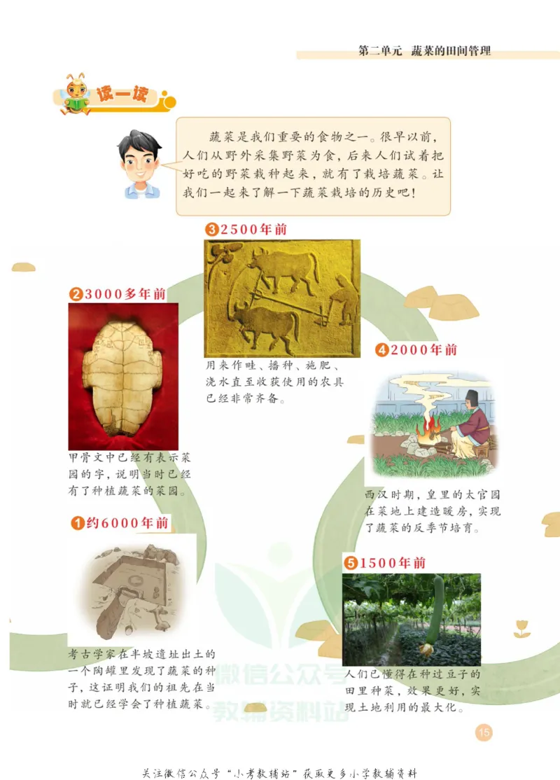 劳动教育3年级上册_电子课本_小学电子课本_11劳动技术_武汉版
