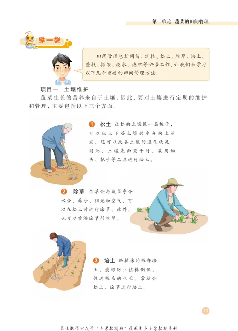 劳动教育3年级上册_电子课本_小学电子课本_11劳动技术_武汉版