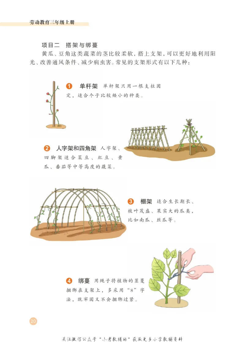 劳动教育3年级上册_电子课本_小学电子课本_11劳动技术_武汉版