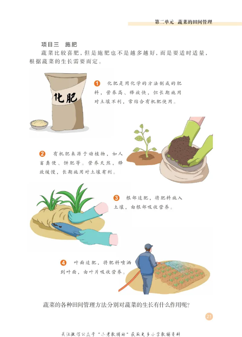 劳动教育3年级上册_电子课本_小学电子课本_11劳动技术_武汉版