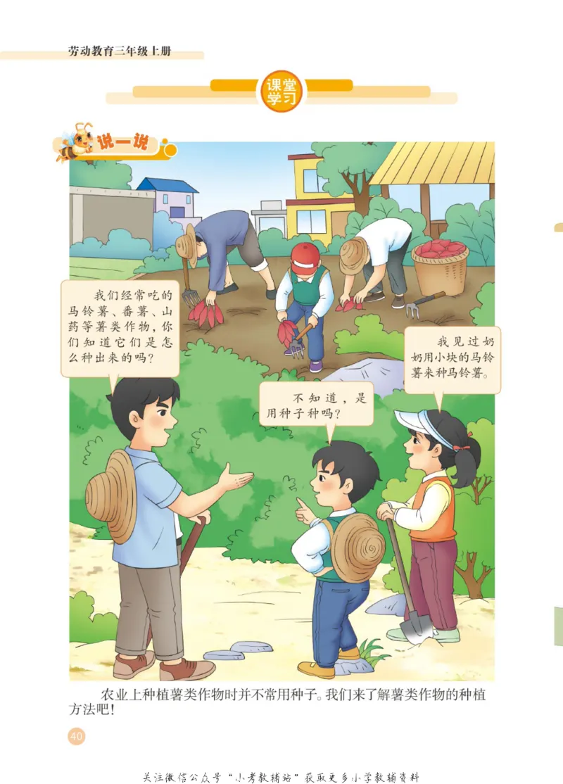 劳动教育3年级上册_电子课本_小学电子课本_11劳动技术_武汉版