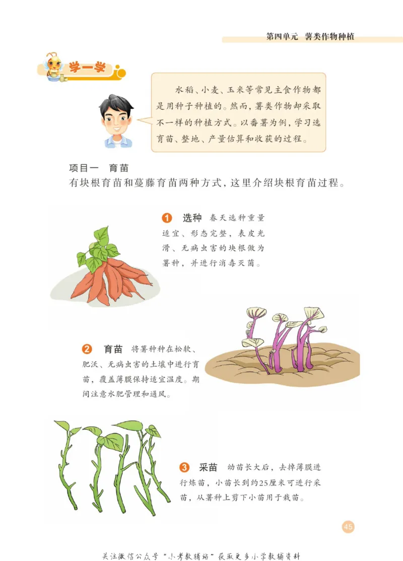 劳动教育3年级上册_电子课本_小学电子课本_11劳动技术_武汉版