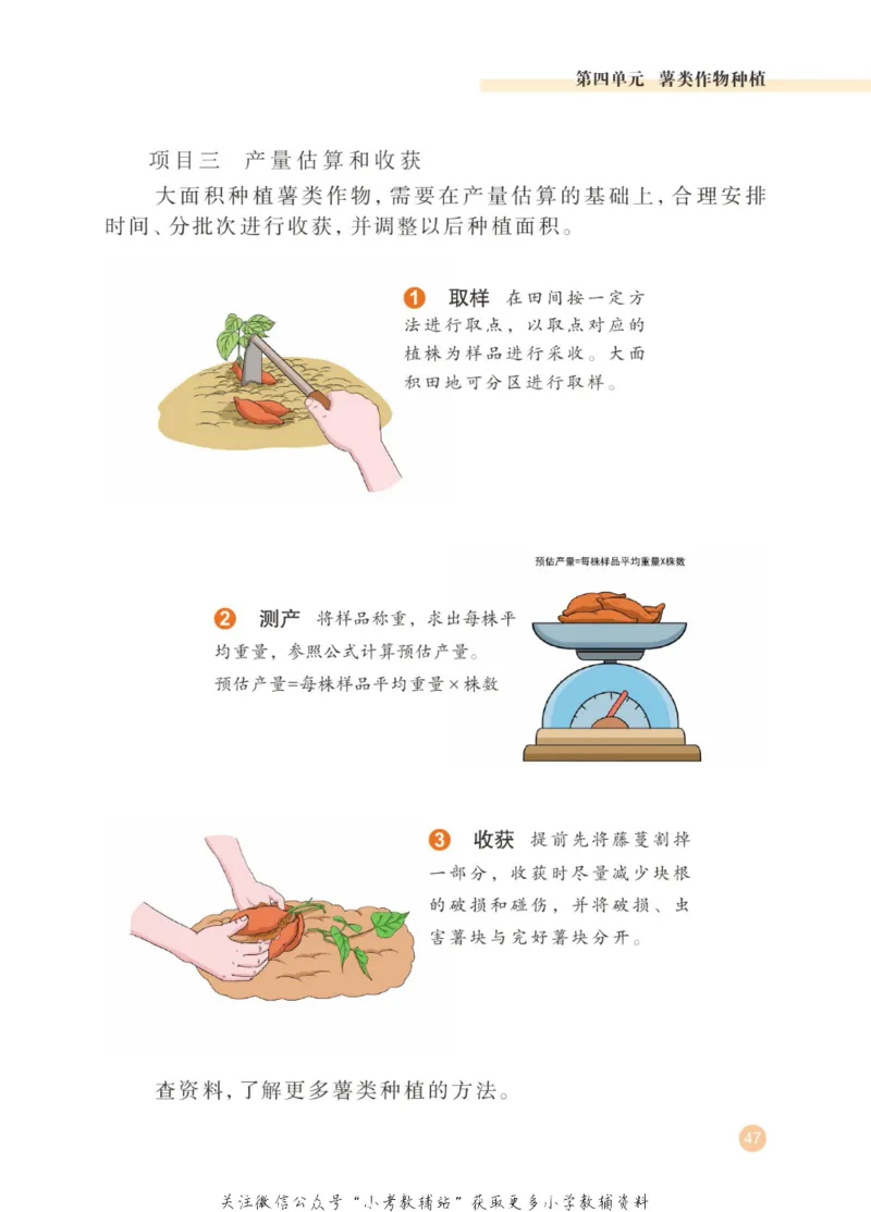 劳动教育3年级上册_电子课本_小学电子课本_11劳动技术_武汉版