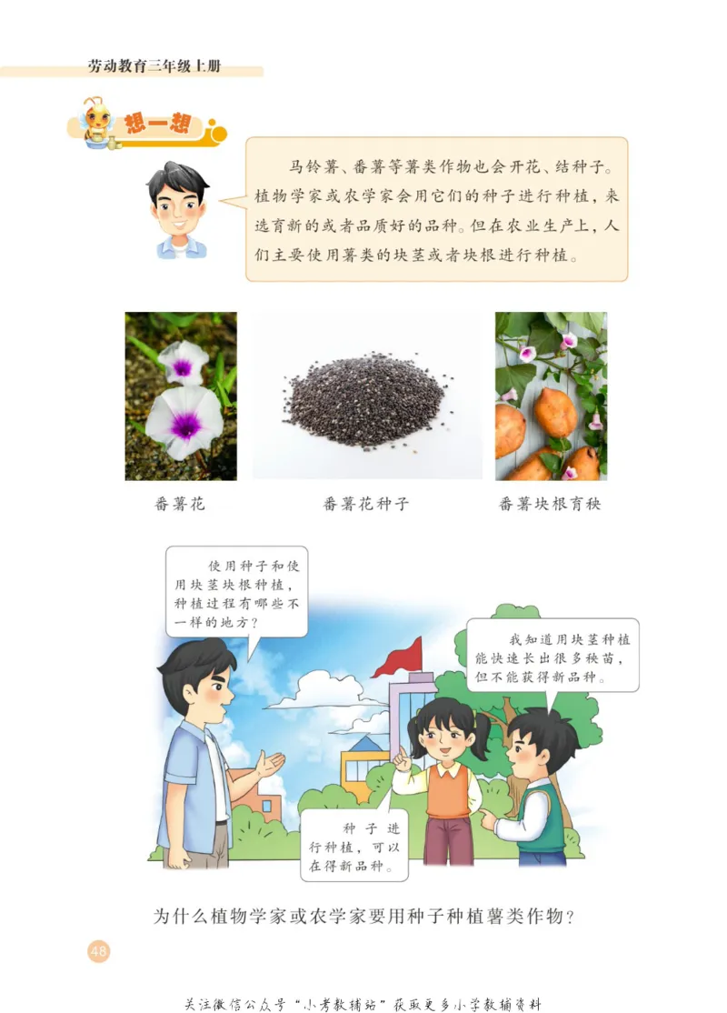 劳动教育3年级上册_电子课本_小学电子课本_11劳动技术_武汉版