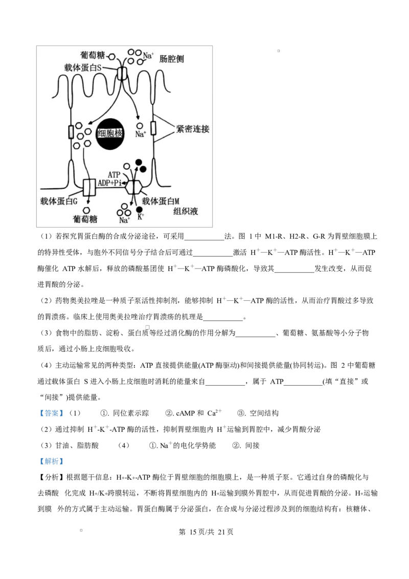 湖北省十堰市六县市区一中教联体学校2024-2025学年高一下学期3月月考生物试题Word版含解析_2025年04月试卷_0415湖北省十堰市六县市一中教联体2024-2025学年高一下学期3月联考