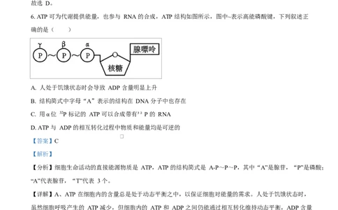 湖北省十堰市六县市区一中教联体学校2024-2025学年高一下学期3月月考生物试题Word版含解析_2025年04月试卷_0415湖北省十堰市六县市一中教联体2024-2025学年高一下学期3月联考
