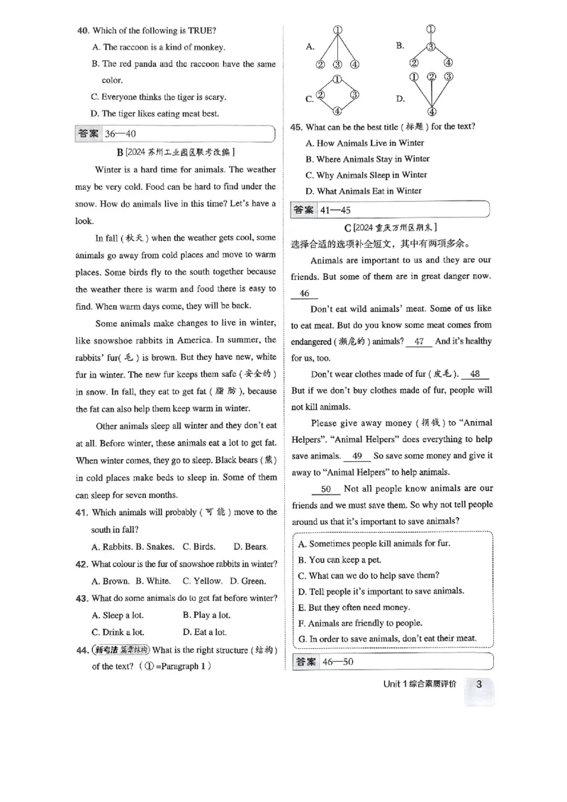七下典中点综合素质评价-2024新教材-_最新人教版英语七年级下册_七下英语2025版_15.2025春英语人教7下热门资料合集_25七下人教英语典中点