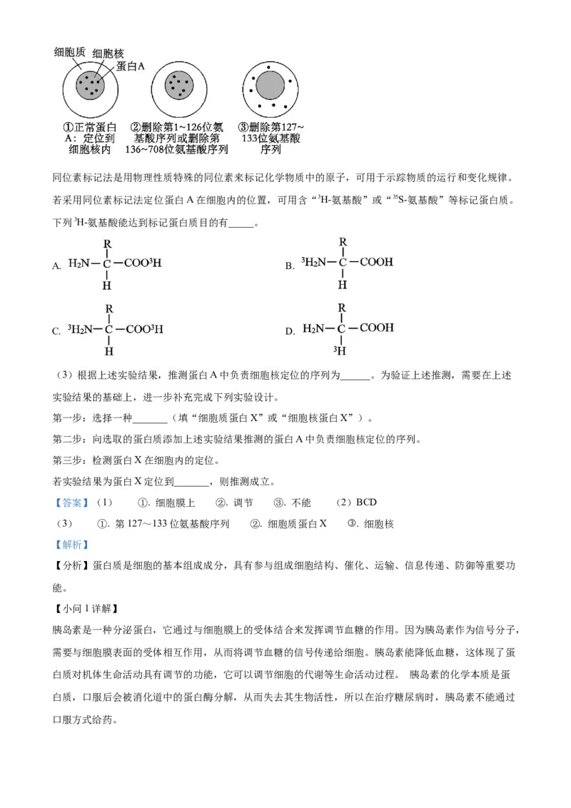 湖北省荆州中学2025-2026学年高一上学期10月月考生物试卷Word版含解析_2025年11月高一试卷_251107湖北省荆州市荆州中学2025-2026学年高一上学期10月月考