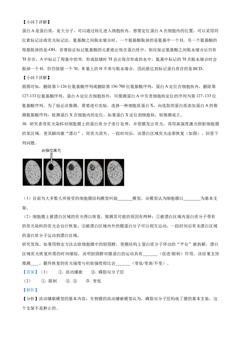 湖北省荆州中学2025-2026学年高一上学期10月月考生物试卷Word版含解析_2025年11月高一试卷_251107湖北省荆州市荆州中学2025-2026学年高一上学期10月月考