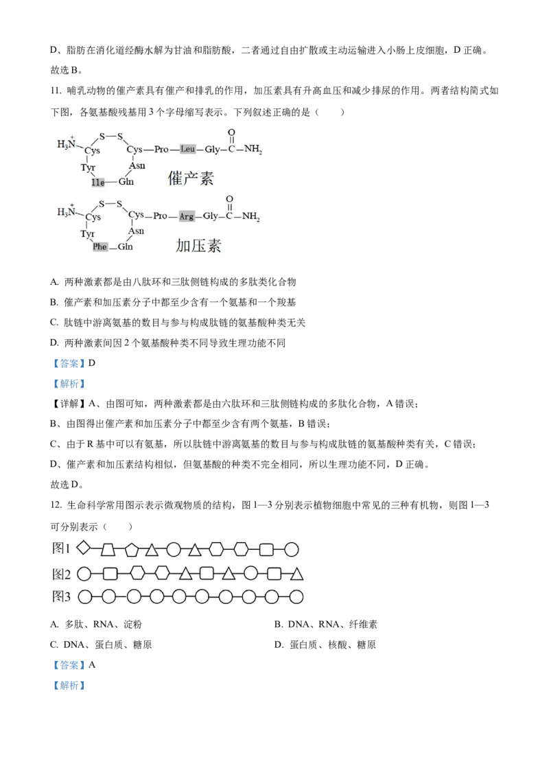 湖北省荆州中学2025-2026学年高一上学期10月月考生物试卷Word版含解析_2025年11月高一试卷_251107湖北省荆州市荆州中学2025-2026学年高一上学期10月月考