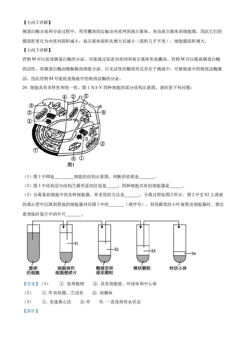 海南省2024-2025学年高一上学期11月期中生物试题Word版含解析_2024年11月试卷_1130海南省部分高中2024-2025学年高一上学期阶段性教学检测（一）