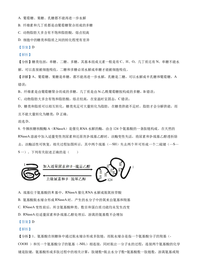 海南省2024-2025学年高一上学期11月期中生物试题Word版含解析_2024年11月试卷_1130海南省部分高中2024-2025学年高一上学期阶段性教学检测（一）