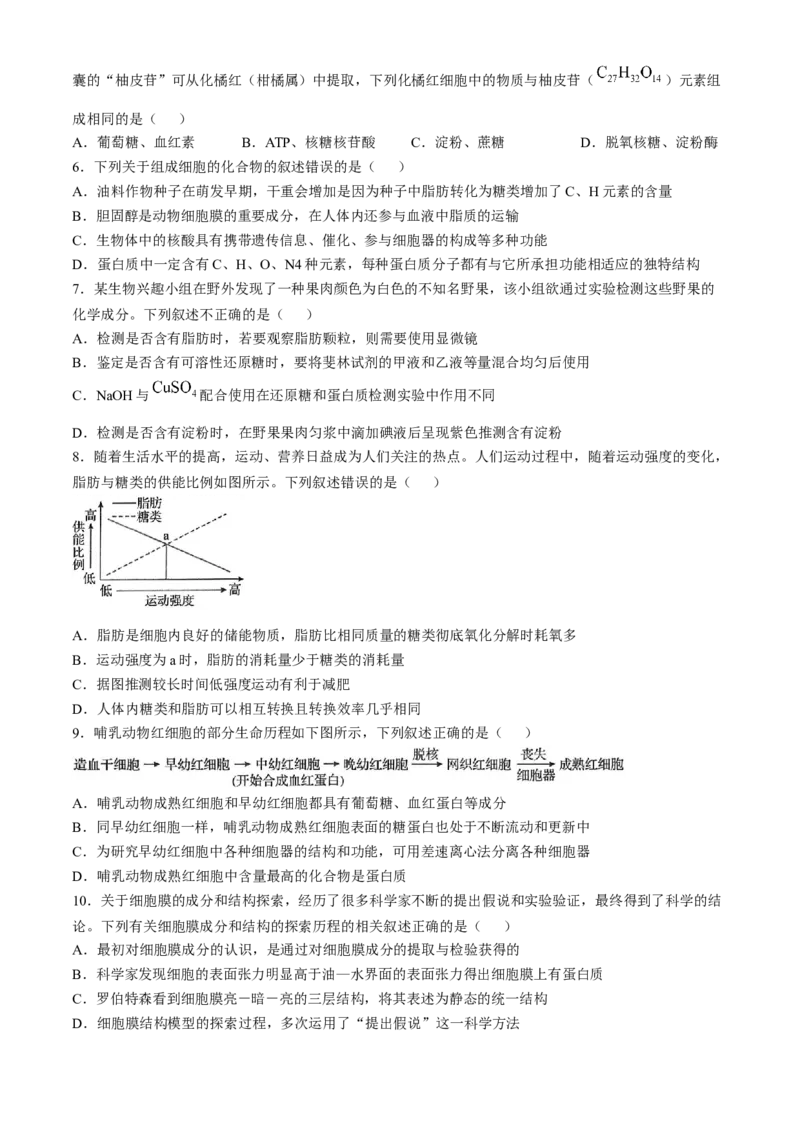 湖北省百强高中名校2025-2026学年高一上学期12月月考生物试题_2026年01月高一试卷_260109湖北省百强高中名校2025-2026学年高一上学期12月月考
