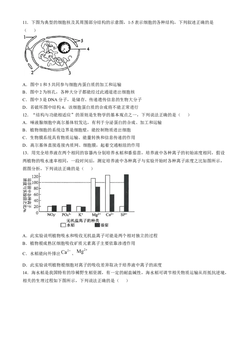 湖北省百强高中名校2025-2026学年高一上学期12月月考生物试题_2026年01月高一试卷_260109湖北省百强高中名校2025-2026学年高一上学期12月月考