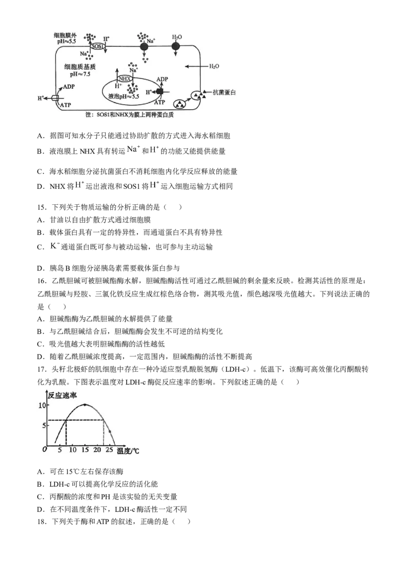 湖北省百强高中名校2025-2026学年高一上学期12月月考生物试题_2026年01月高一试卷_260109湖北省百强高中名校2025-2026学年高一上学期12月月考