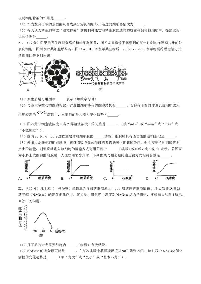 湖北省百强高中名校2025-2026学年高一上学期12月月考生物试题_2026年01月高一试卷_260109湖北省百强高中名校2025-2026学年高一上学期12月月考