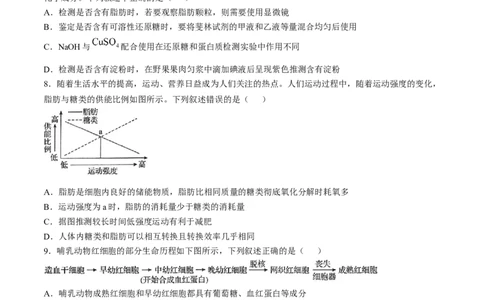 湖北省百强高中名校2025-2026学年高一上学期12月月考生物试题_2026年01月高一试卷_260109湖北省百强高中名校2025-2026学年高一上学期12月月考