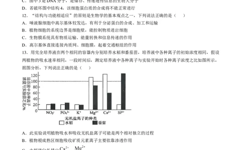 湖北省百强高中名校2025-2026学年高一上学期12月月考生物试题_2026年01月高一试卷_260109湖北省百强高中名校2025-2026学年高一上学期12月月考