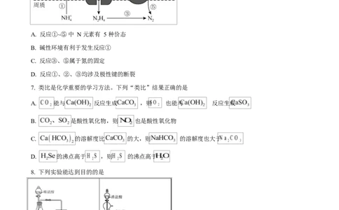 湖北省部分名校2024-2025学年高一下学期3月联考化学试卷（原卷版）_2025年04月试卷_0422湖北省部分名校2024-2025学年高一下学期3月联考