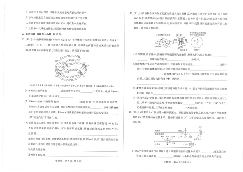 海南省部分学校2025-2026学年高一上学期1月期末生物试题_2026年01月高一试卷_260126海南省天一大联考2025-2026学年高一上学期1月期末联考