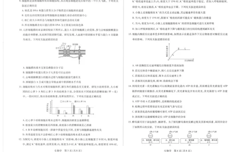 海南省部分学校2025-2026学年高一上学期1月期末生物试题_2026年01月高一试卷_260126海南省天一大联考2025-2026学年高一上学期1月期末联考