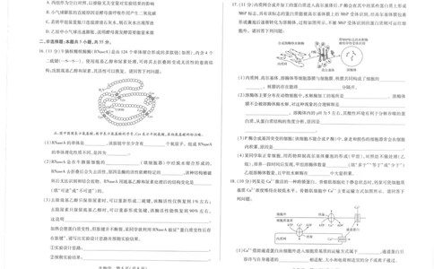 海南省部分学校2025-2026学年高一上学期1月期末生物试题_2026年01月高一试卷_260126海南省天一大联考2025-2026学年高一上学期1月期末联考