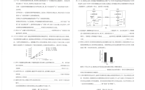 海南省部分学校2025-2026学年高一上学期1月期末生物试题_2026年01月高一试卷_260126海南省天一大联考2025-2026学年高一上学期1月期末联考