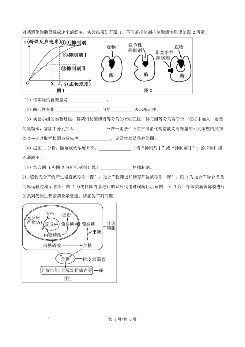 湖北省部分名校2024-2025学年高一下学期3月联考生物试卷（原卷版）_2025年04月试卷_0422湖北省部分名校2024-2025学年高一下学期3月联考
