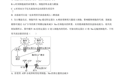 湖北省部分名校2024-2025学年高一下学期3月联考生物试卷（原卷版）_2025年04月试卷_0422湖北省部分名校2024-2025学年高一下学期3月联考