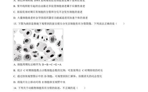 湖北省部分名校2024-2025学年高一下学期3月联考生物试卷（原卷版）_2025年04月试卷_0422湖北省部分名校2024-2025学年高一下学期3月联考