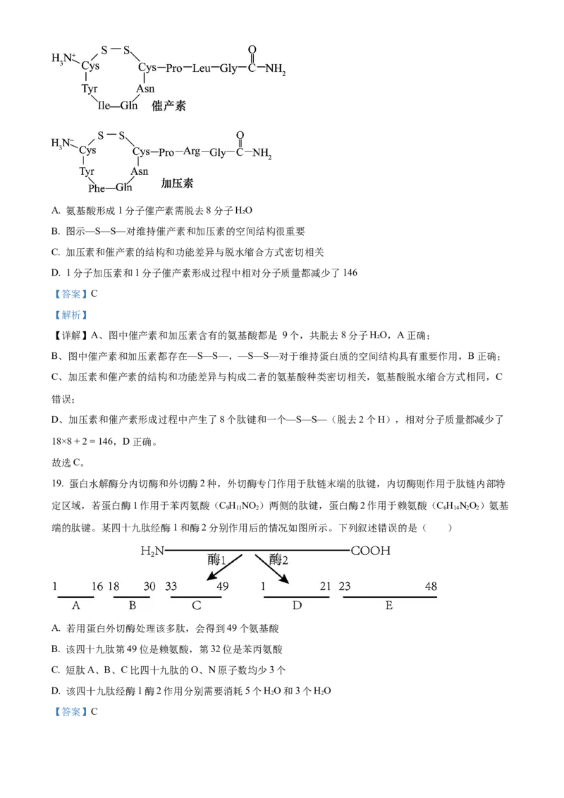 湖北省十堰市郧阳中学2025-2026学年高一上学期10月第一次考试生物试题Word版含解析_2025年11月高一试卷_251112湖北省十堰市郧阳中学2025-2026学年高一上学期期中考试（全）