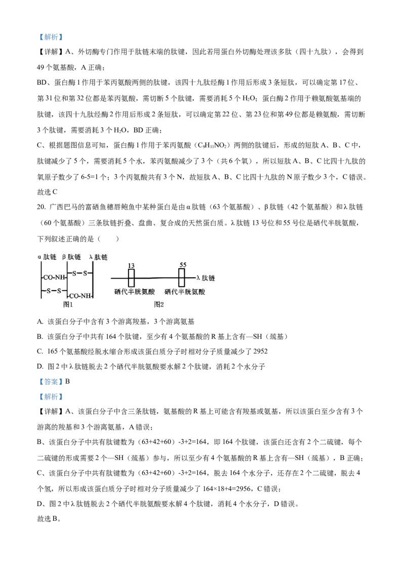 湖北省十堰市郧阳中学2025-2026学年高一上学期10月第一次考试生物试题Word版含解析_2025年11月高一试卷_251112湖北省十堰市郧阳中学2025-2026学年高一上学期期中考试（全）