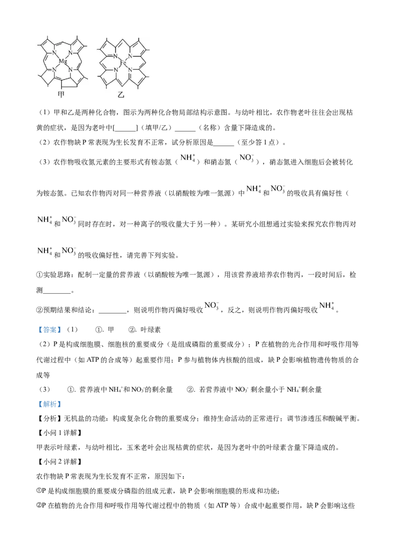 湖北省十堰市郧阳中学2025-2026学年高一上学期10月第一次考试生物试题Word版含解析_2025年11月高一试卷_251112湖北省十堰市郧阳中学2025-2026学年高一上学期期中考试（全）