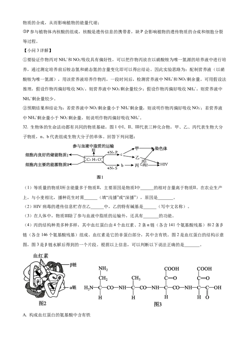 湖北省十堰市郧阳中学2025-2026学年高一上学期10月第一次考试生物试题Word版含解析_2025年11月高一试卷_251112湖北省十堰市郧阳中学2025-2026学年高一上学期期中考试（全）