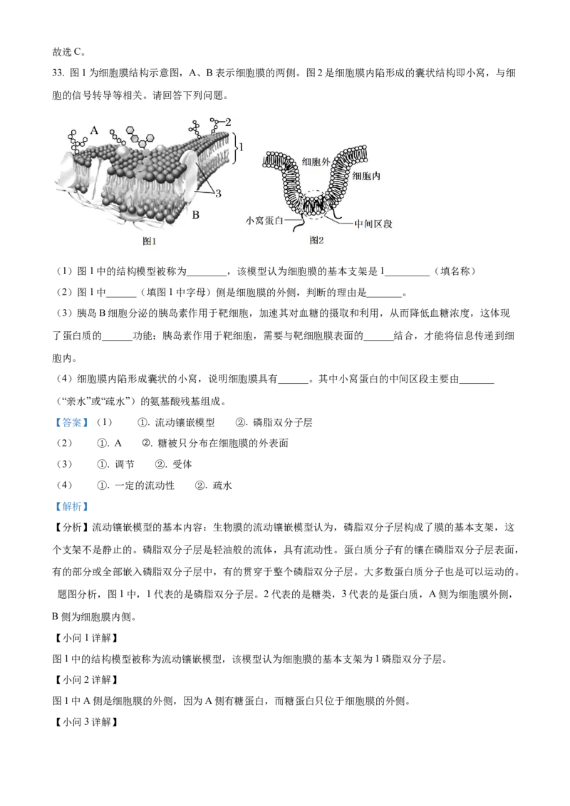 湖北省十堰市郧阳中学2025-2026学年高一上学期10月第一次考试生物试题Word版含解析_2025年11月高一试卷_251112湖北省十堰市郧阳中学2025-2026学年高一上学期期中考试（全）