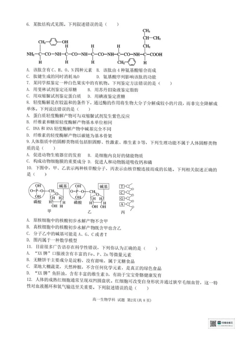 浙江省宁波六校联盟2025-2026学年高一上学期11月期中生物试题含答案_2025年11月高一试卷_251110河浙江宁波六校联盟2025学年第一学期高一期中联考（全）