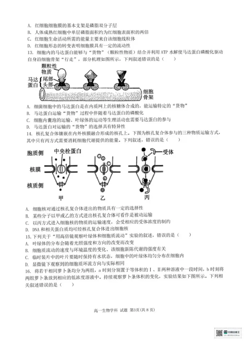 浙江省宁波六校联盟2025-2026学年高一上学期11月期中生物试题含答案_2025年11月高一试卷_251110河浙江宁波六校联盟2025学年第一学期高一期中联考（全）