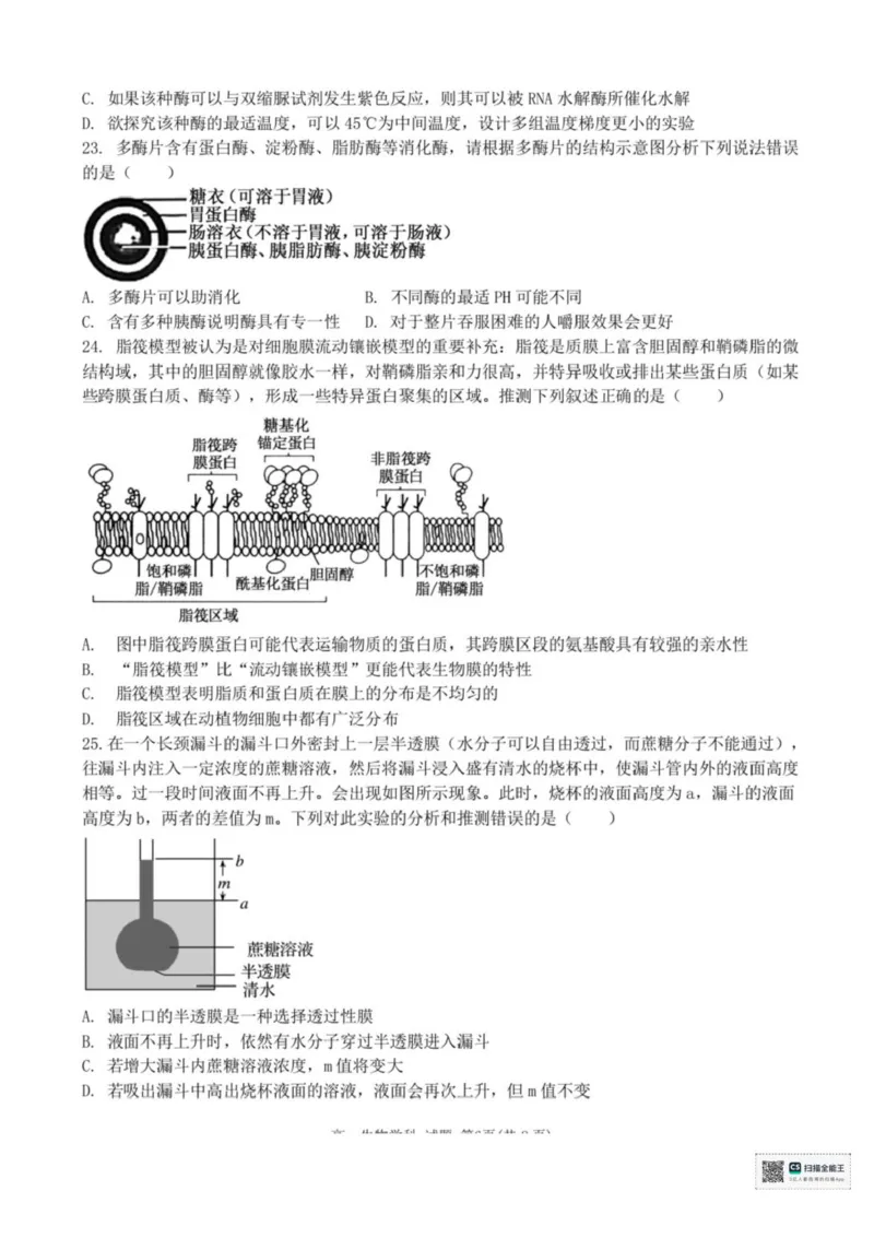 浙江省宁波六校联盟2025-2026学年高一上学期11月期中生物试题含答案_2025年11月高一试卷_251110河浙江宁波六校联盟2025学年第一学期高一期中联考（全）