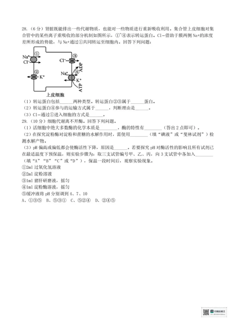 浙江省宁波六校联盟2025-2026学年高一上学期11月期中生物试题含答案_2025年11月高一试卷_251110河浙江宁波六校联盟2025学年第一学期高一期中联考（全）