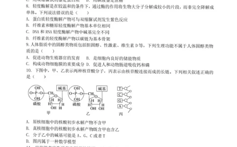 浙江省宁波六校联盟2025-2026学年高一上学期11月期中生物试题含答案_2025年11月高一试卷_251110河浙江宁波六校联盟2025学年第一学期高一期中联考（全）