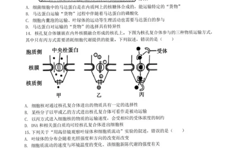 浙江省宁波六校联盟2025-2026学年高一上学期11月期中生物试题含答案_2025年11月高一试卷_251110河浙江宁波六校联盟2025学年第一学期高一期中联考（全）