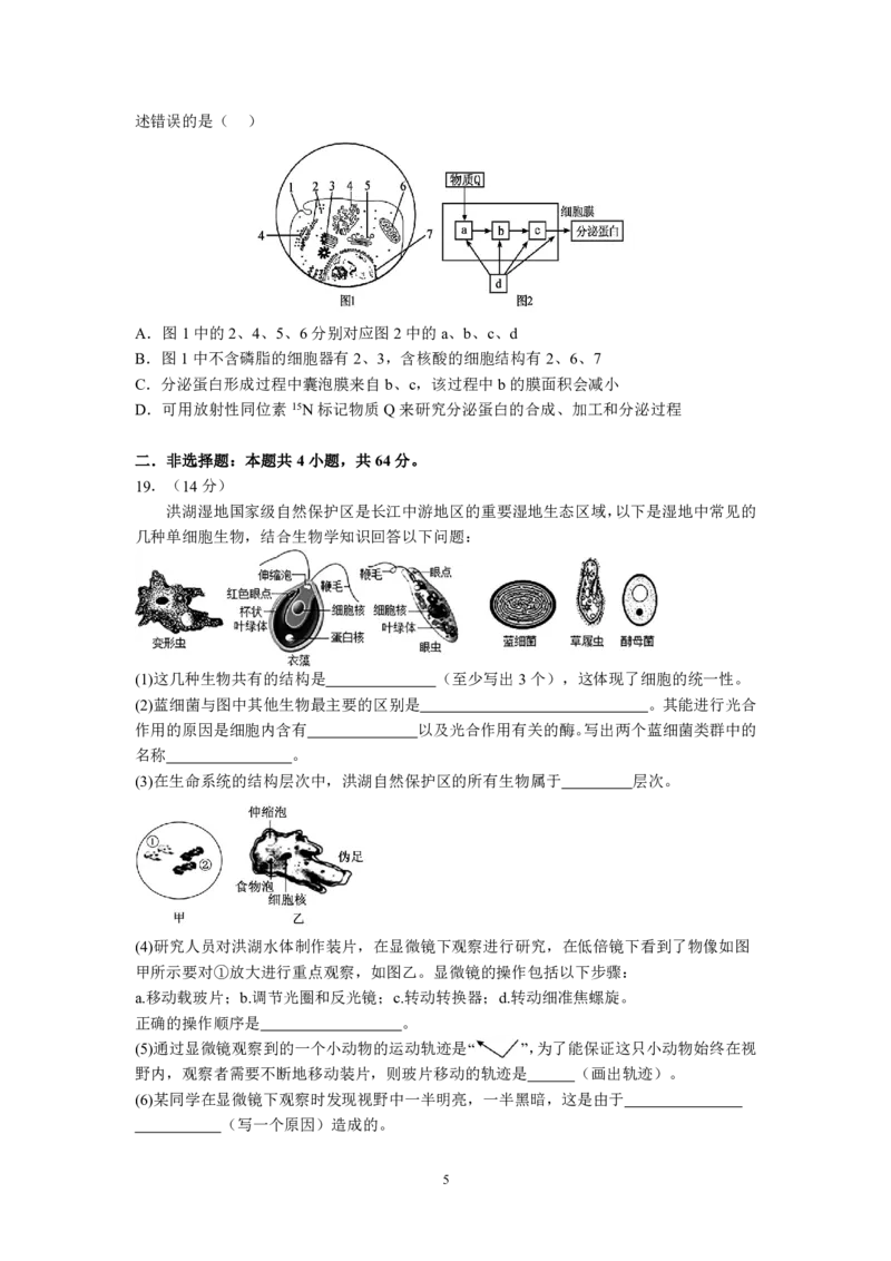 湖北省荆州中学2025-2026学年高一上学期期中考试生物试卷PDF_2025年11月高一试卷_251122湖北省荆州中学2025-2026学年高一上学期期中考试（全）