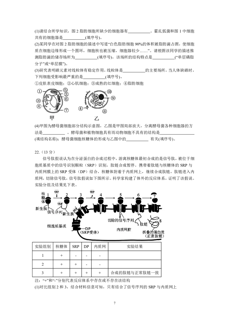 湖北省荆州中学2025-2026学年高一上学期期中考试生物试卷PDF_2025年11月高一试卷_251122湖北省荆州中学2025-2026学年高一上学期期中考试（全）