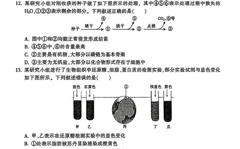 浙江省金华十校2025-2026学年高一上学期2月期末生物试题（图片版，含答案）_2026年02月高一试卷_260215浙江省金华十校2025-2026学年高一上学期2月期末（全）