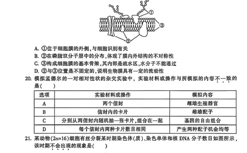 浙江省金华十校2025-2026学年高一上学期2月期末生物试题（图片版，含答案）_2026年02月高一试卷_260215浙江省金华十校2025-2026学年高一上学期2月期末（全）
