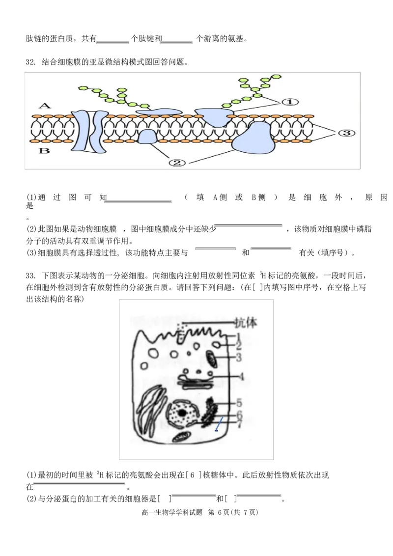 浙江省嘉兴市八校联盟2025-2026学年高一上学期期中考试生物Word版含答案_2025年11月高一试卷_251109浙江省嘉兴市八校联盟2025-2026学年高一上学期期中考试（全）