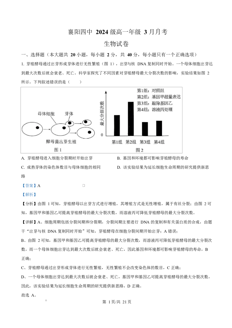 湖北省襄阳市第四中学2024&mdash;2025学年高一下学期3月考试生物试题Word版含解析_2025年04月试卷_0428湖北省襄阳市第四中学2024-2025学年高一下学期3月月考