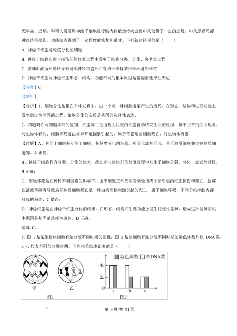湖北省襄阳市第四中学2024&mdash;2025学年高一下学期3月考试生物试题Word版含解析_2025年04月试卷_0428湖北省襄阳市第四中学2024-2025学年高一下学期3月月考