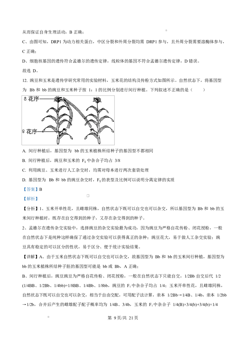 湖北省襄阳市第四中学2024&mdash;2025学年高一下学期3月考试生物试题Word版含解析_2025年04月试卷_0428湖北省襄阳市第四中学2024-2025学年高一下学期3月月考