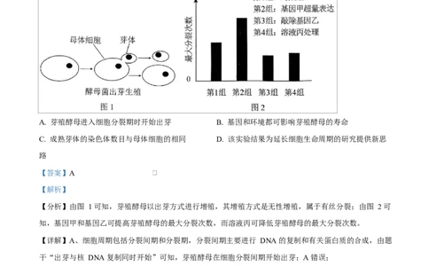 湖北省襄阳市第四中学2024&mdash;2025学年高一下学期3月考试生物试题Word版含解析_2025年04月试卷_0428湖北省襄阳市第四中学2024-2025学年高一下学期3月月考
